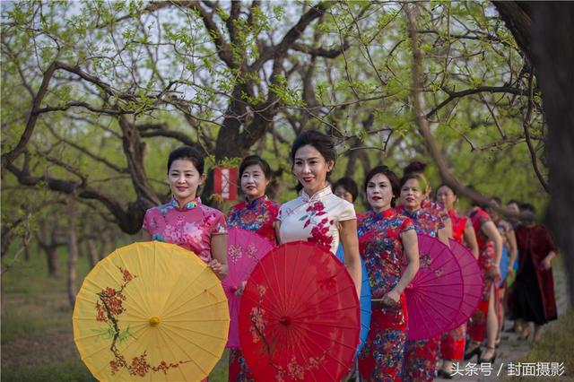 当旗袍美女遇上带刺的枣树