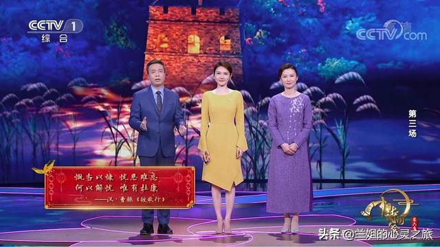 诗词大会：杨雨和蒙曼，两位美女教授，一个接地气，一个仙气飘飘