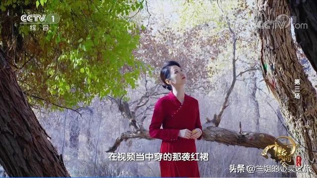 诗词大会：杨雨和蒙曼，两位美女教授，一个接地气，一个仙气飘飘