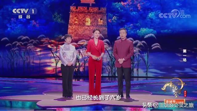 诗词大会：杨雨和蒙曼，两位美女教授，一个接地气，一个仙气飘飘