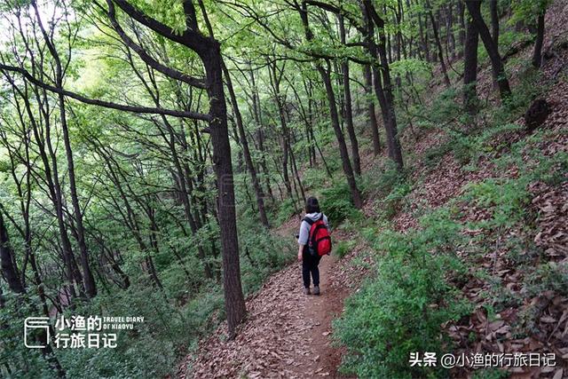 妹子西安秦岭穿越，深山老林偶遇终南山隐士，他们的生活到底如何