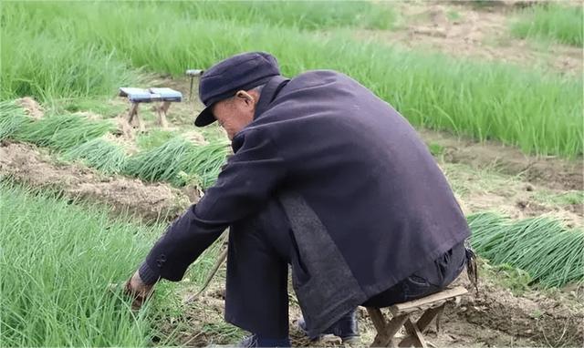 女子给爸爸介绍婆婆当对象，男子笑得合不拢嘴，肥水不流外人田