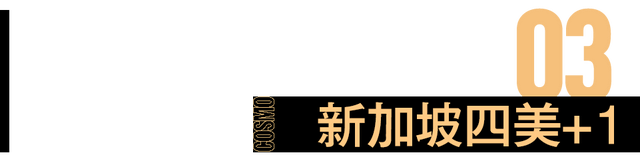 伴随90后成长的“新加坡四美”，好久不见