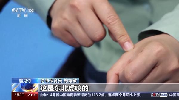 带薪“撸虎玩熊”？她4年里拉扯大200多只猛兽崽崽