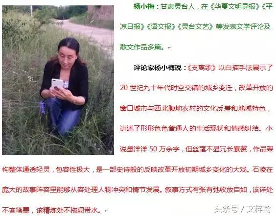 名人名家评甘肃灵台美女作家石凌长篇小说《支离歌》