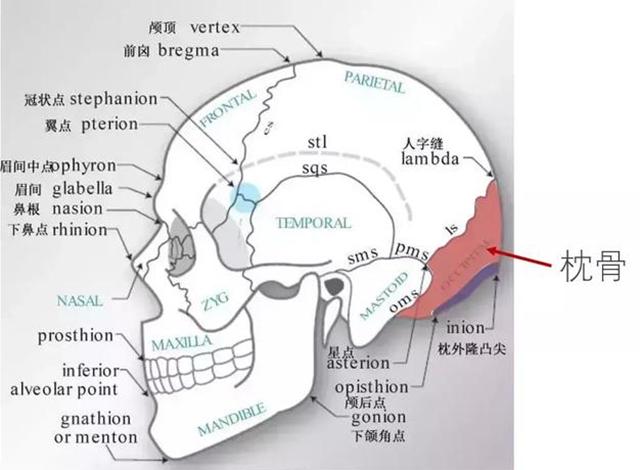 “扁头”妹子没有淑女范？先别生气，可能是在发型上栽了4个跟头