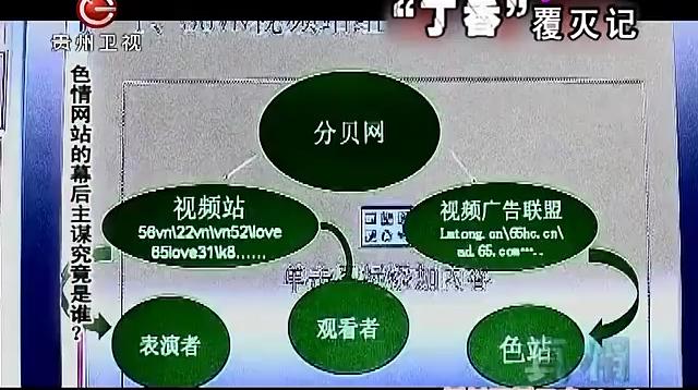 色情网站“丁香”覆灭记