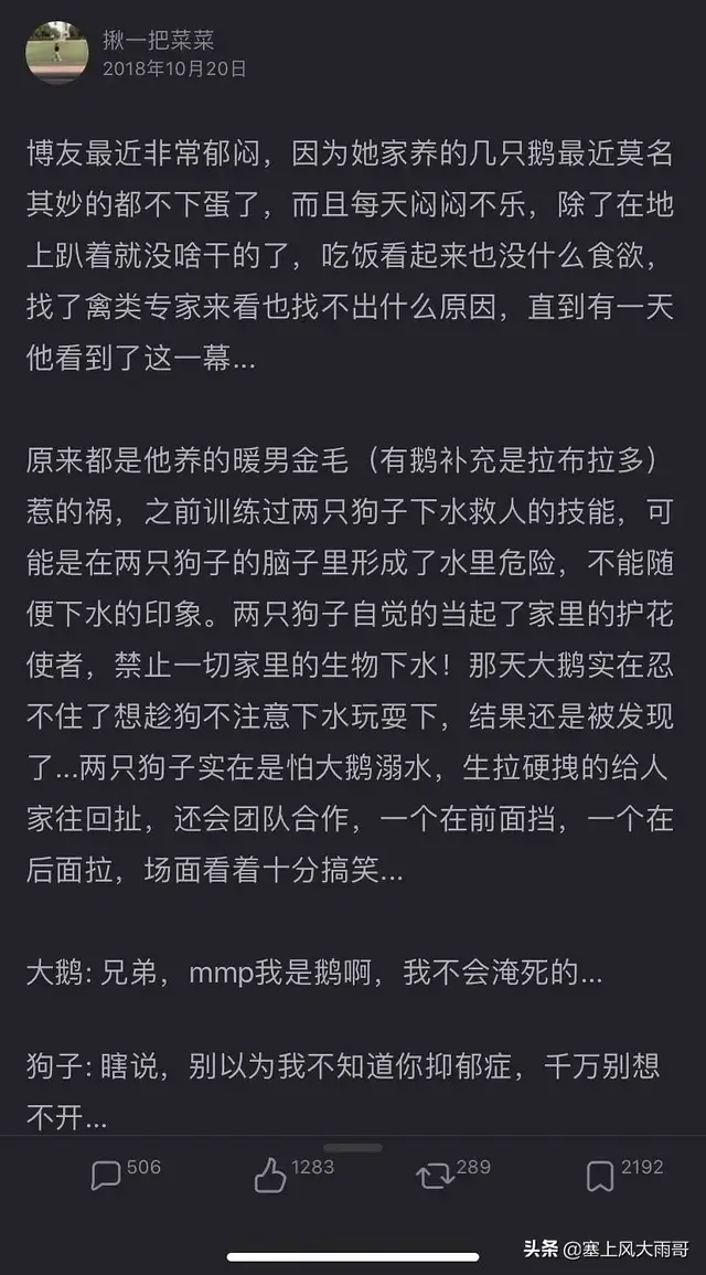 这年头看病都见色起意！网课还是没有身体重要啊！！哈哈哈