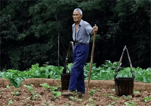 女同事搭我车回家过五一，因堵车尿急，最终选择车上解决，尴尬了