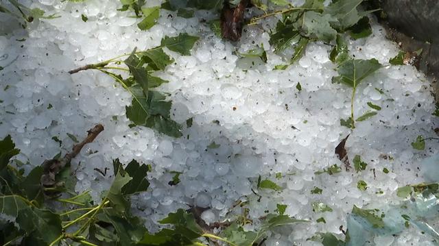 新泰遭冰雹突袭 最大冰雹鸡蛋大小 六村受灾严重