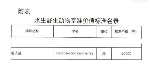 实锤，最高判10年！网红“提子”用大白鲨做美食，相关人员已被警方控制，最重可判十年徒刑