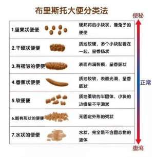 爆美女菊花图片大全_这样粉嫩俊俏的菊花万里挑一，要切除，实在下下下不了手啊