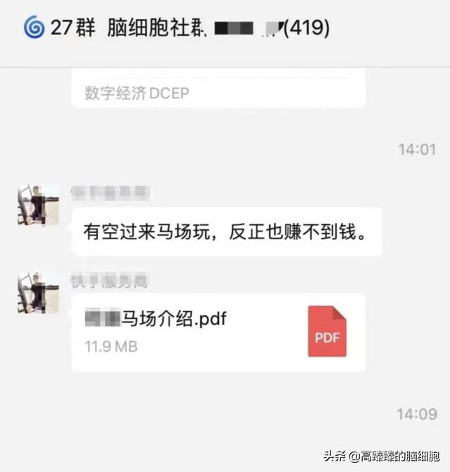 偶遇地摊小美女 她太会做生意了丨高臻臻的脑细胞