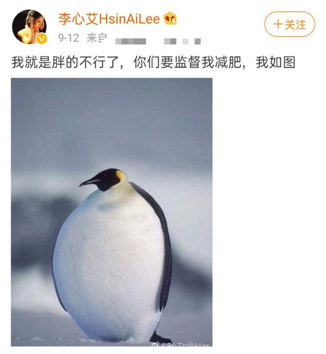 李心艾被嘲胖成肥婆？怒减肥效果明显，不到一周颜值回春变瓜子脸