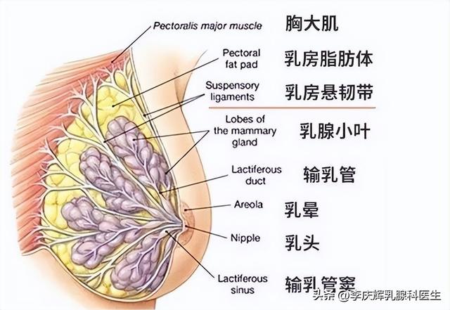 生气时乳房刺痛像针扎一样怎么回事？