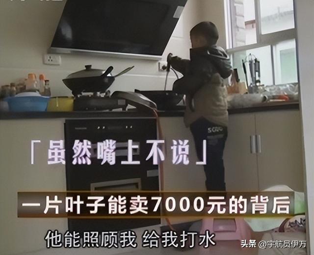 贵州美女卖树叶13年，靠央视走红，一片7千，如今成人生赢家