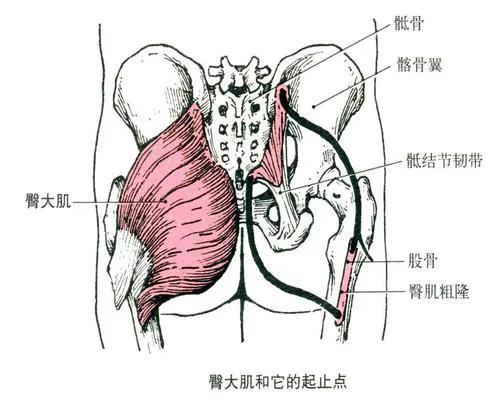 22岁维吾尔族健身女孩，混血面孔身材火辣，翘臀更是迷人