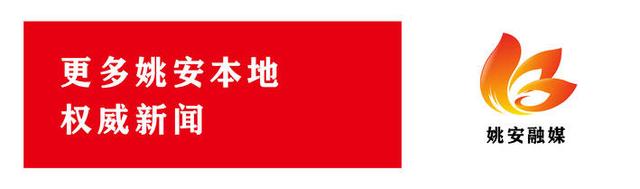 「图文」省级督导评估组到姚安县开展学前教育普及普惠县创建督导评估