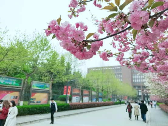 神仙颜值！直击西安邮电大学最美“校花”，高清大图来袭