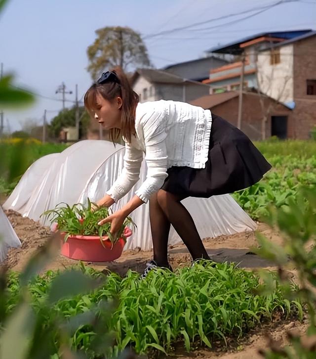 擦边？JK裙严素穿黑丝干农活，弯腰下蹲遭质疑，网友：建议封杀