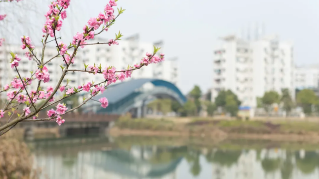 神仙颜值，惊艳来袭！中南大学“最美校花”高清大图曝光！