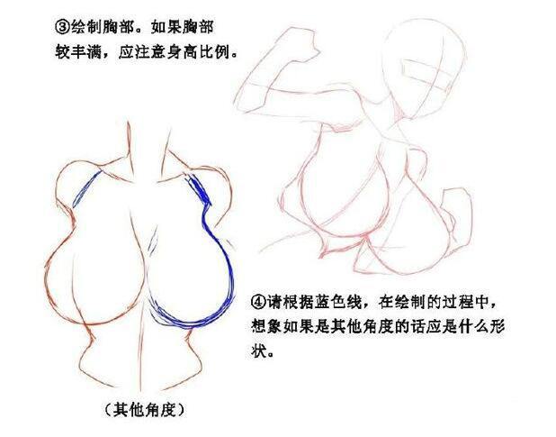 「推荐」女性胸部怎么画好看？女性胸部漫画绘画技巧