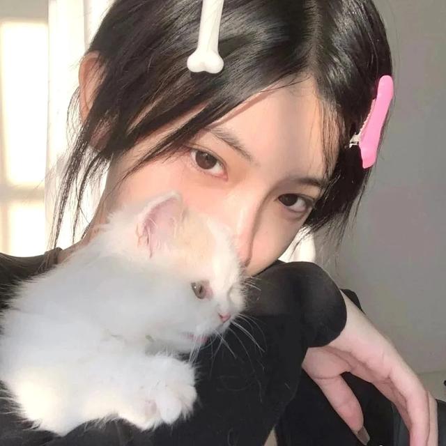 抱猫女头｜轻舟已过后空翻