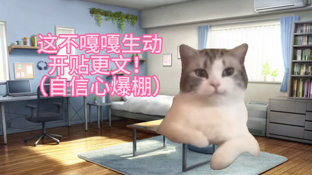 【猫meme】小学成为全职猎人h同人文写手并爆火的过往。。