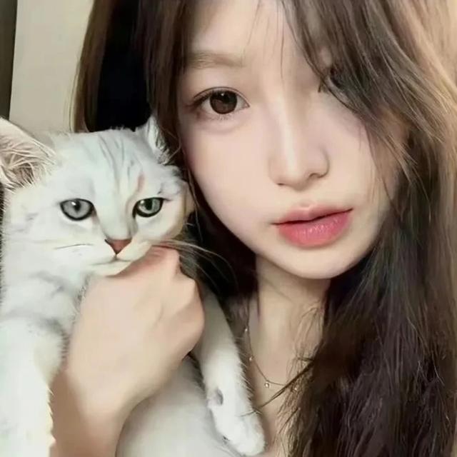 抱猫女头｜轻舟已过后空翻