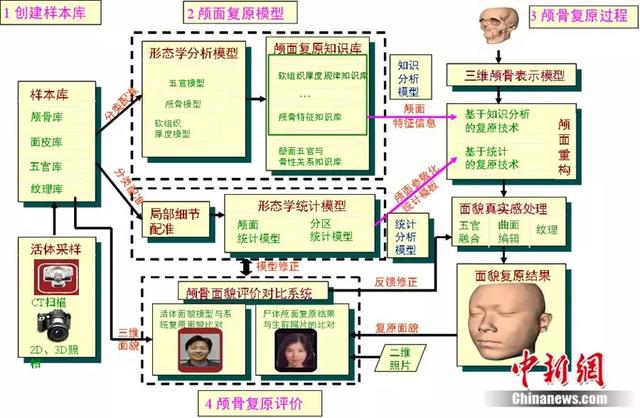 唐朝公主长啥样？秦代小姐姐有多美？他们研究出来了……