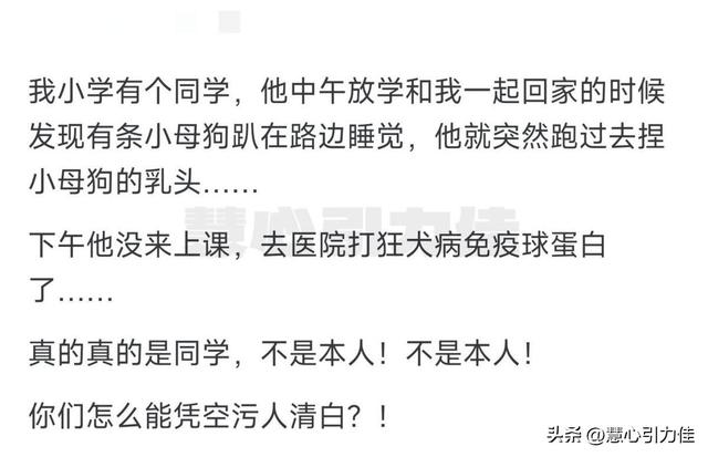 光腚遛狗视频被全网围观，李嘉欣这下火了，网友：身份证好惨