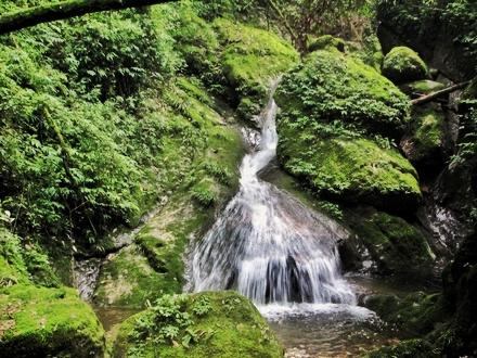 青城山：博主携德国美女相伴登顶，速度太快令当地人惊诧