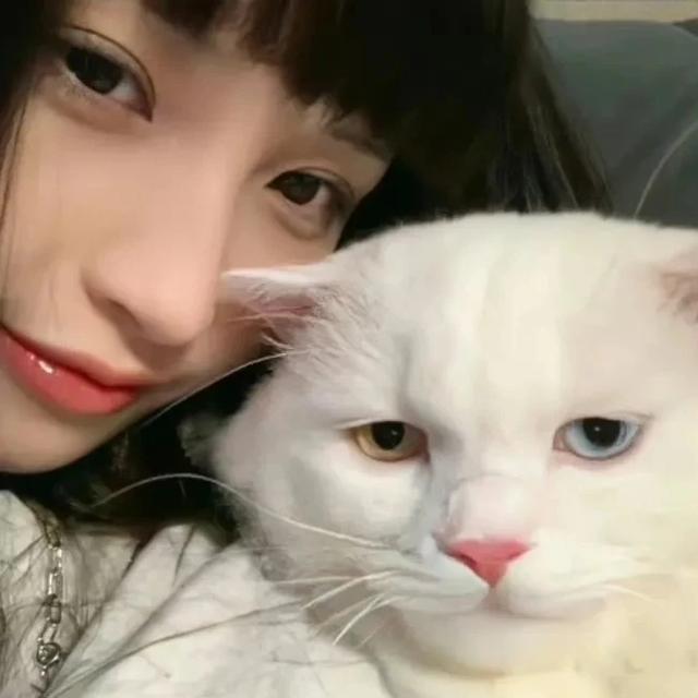 抱猫女头｜轻舟已过后空翻