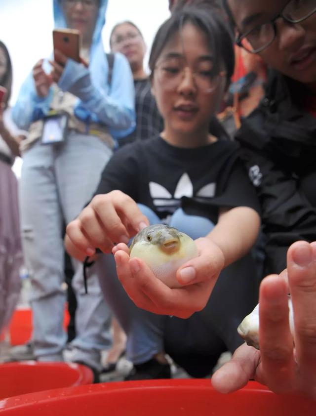 今天，江阴600多万尾鱼苗放流长江！现场这个90后美女火了