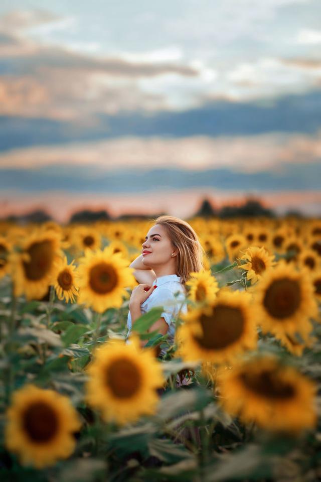 夕阳下的柔美少女 向日葵花海中的梦幻时刻