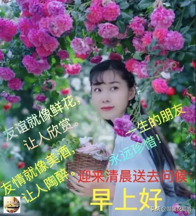 漂亮的美女早上好问候表情图片带字带祝福语