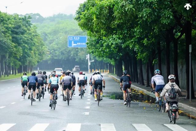 晶报特别报道｜穿行在“自行车友好”的深圳