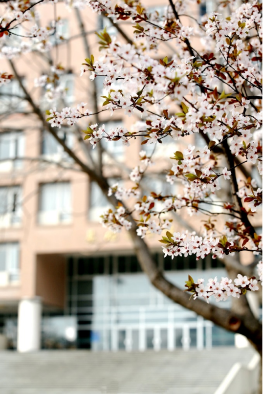 神仙颜值！直击西安邮电大学最美“校花”，高清大图来袭