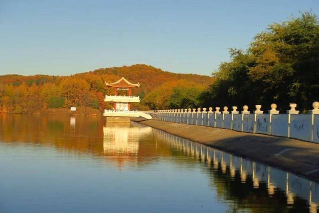 在黑龙江鹤岗街头逛了两天，人口只有80多万的鹤岗，能发展成这样