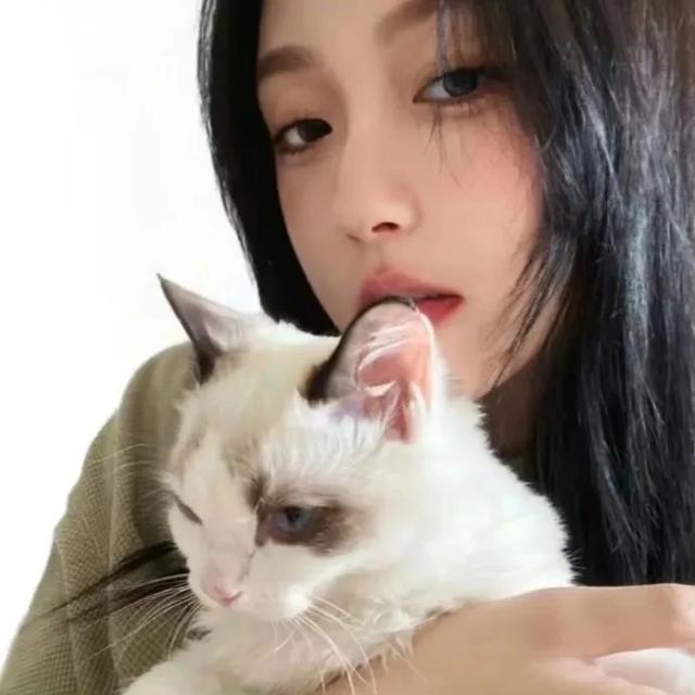 抱猫女头｜轻舟已过后空翻