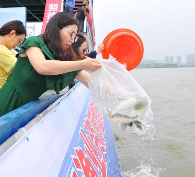 今天，江阴600多万尾鱼苗放流长江！现场这个90后美女火了