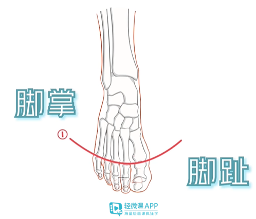 漫画人物的脚怎么画？人物绘画教程