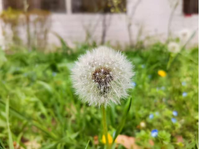 神仙颜值！直击西安邮电大学最美“校花”，高清大图来袭