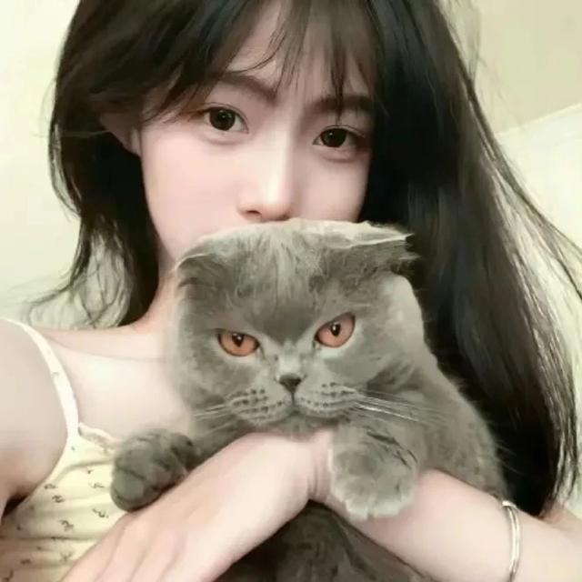 抱猫女头｜轻舟已过后空翻