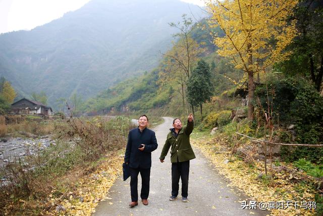 龙滩：山村人家的诗意生活