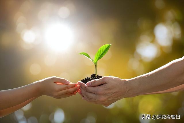 疑遭男友分手，年轻女教师投河自尽！她的死、“意难平”