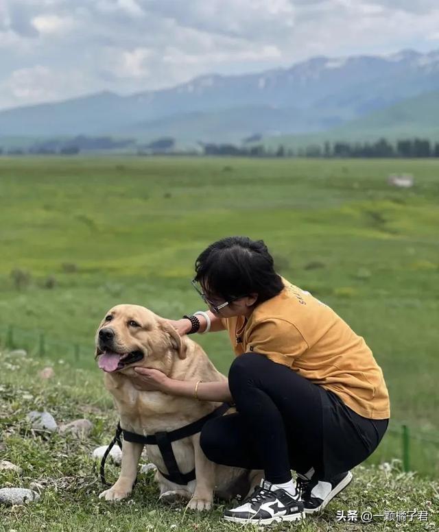 小狗去云南旅游每天晒太阳，结果紫外线太强，“菊花”竟然晒黑了