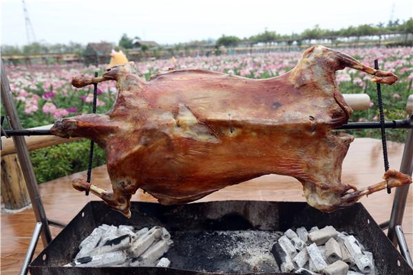 寒潮热了佛山盈香生态园烤全羊，美女食客吃起羊腿瞬间变女神