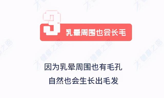 女人会长3个乳房？乳头周围会长毛？女人身体的6个小秘密必知