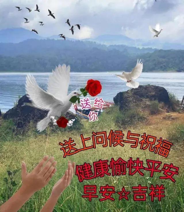 免打字春日清晨美女问候祝福图片带字，早安问声好，万事都美好